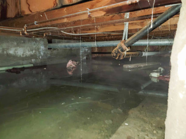 Best Sewage cleanup and water damage restoration  in Wayne, PA