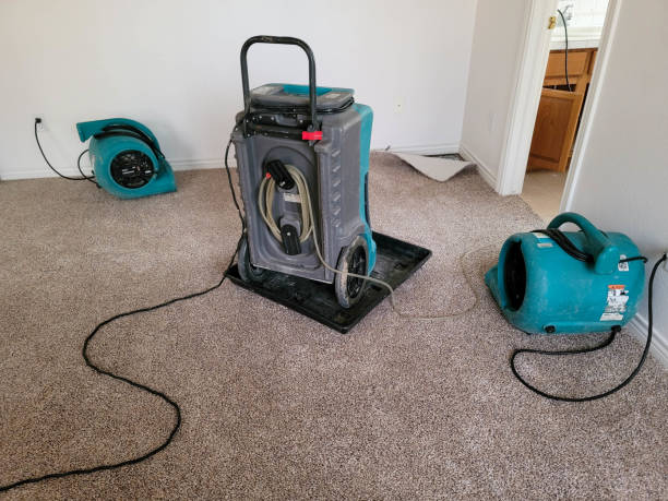 Best Water damage restoration company  in Wayne, PA