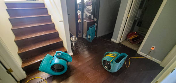 Best Water damage contractors near me  in Wayne, PA