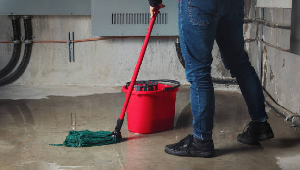 Best 24/7 water damage repair  in Wayne, PA