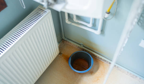 Best Professional water damage repair  in Wayne, PA