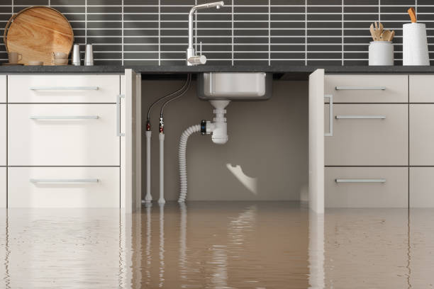 Best Water damage restoration near me  in Wayne, PA