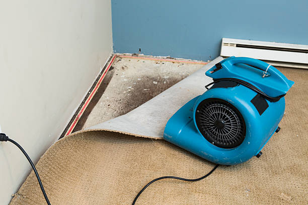 Best Commercial water damage restoration  in Wayne, PA